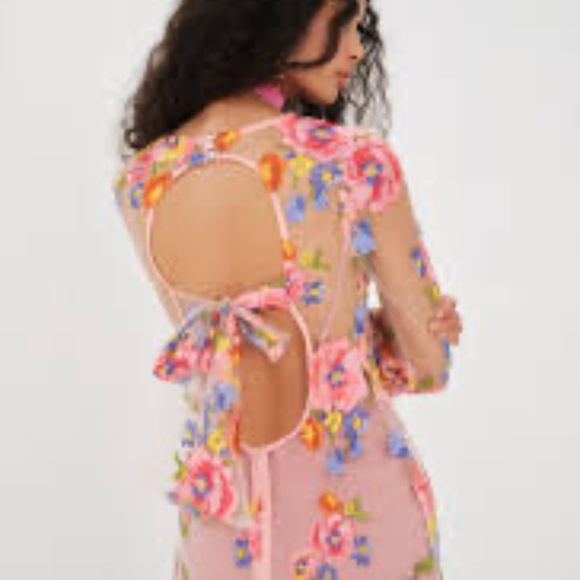 For Love & Lemons NWT Pink Percy Mini Sheer Dress with Appliqué Flowers Boho - Picture 3 of 14